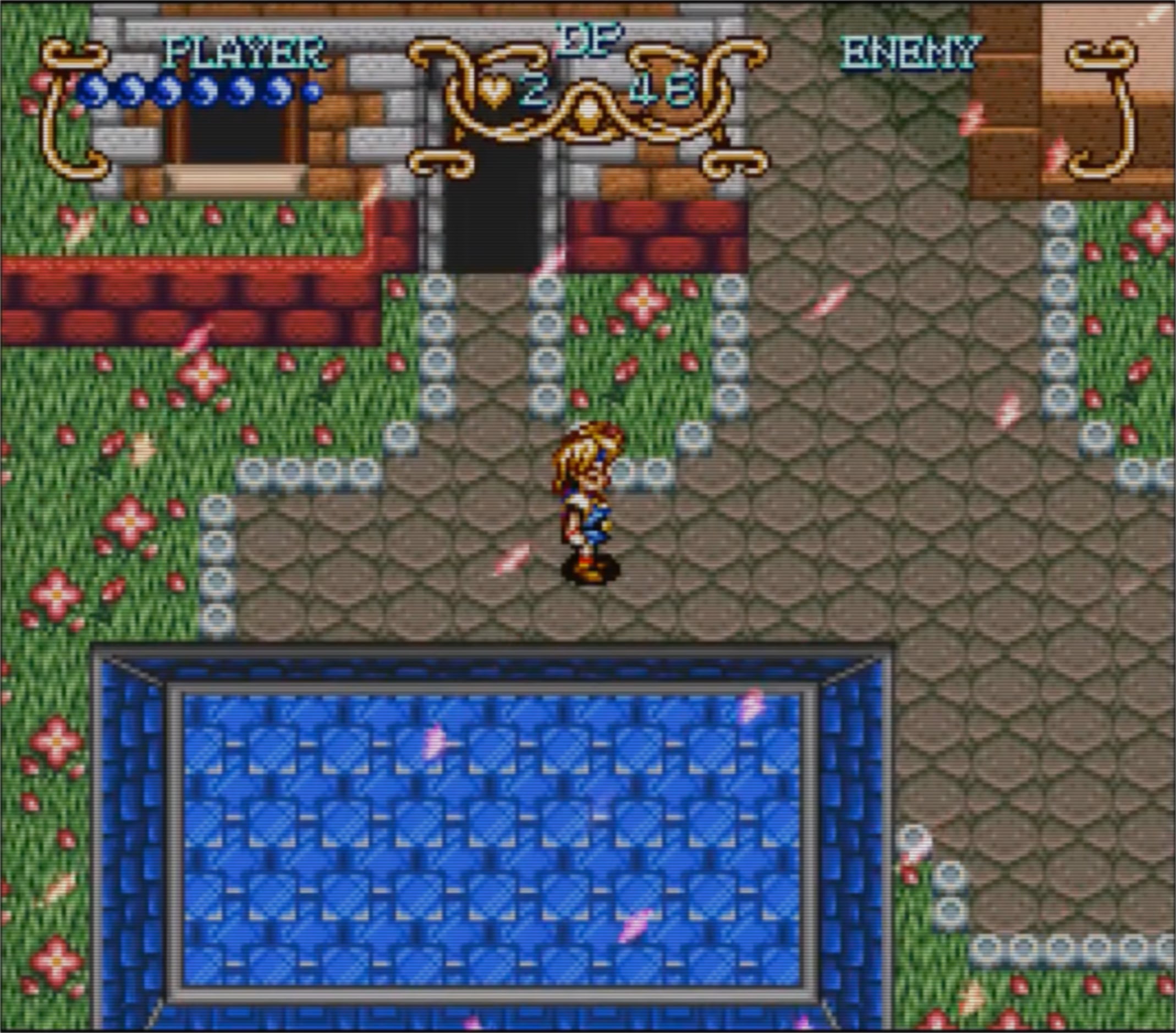 Freesia, la ville florale