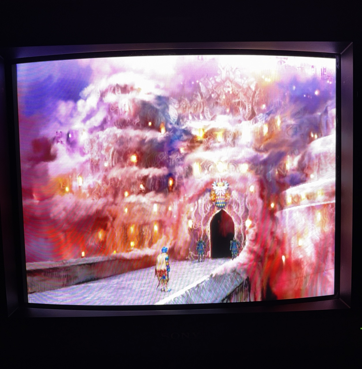 Entrée du chateau de Diademe